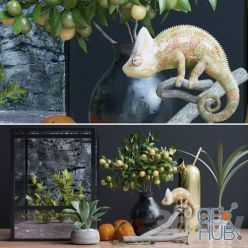 3D model Decorative set, chameleon (max, obj)