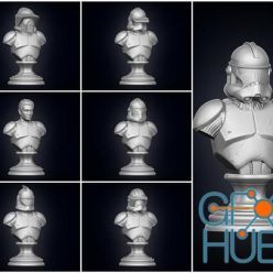 3D model ﻿Clone Troopers – 3D Print