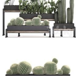 3D model Plant Collection 462