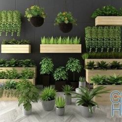 3D model Plants Collection 80