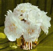 3D model Bouquet of white peonies