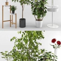 3D model Ikea plants set