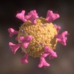 3D model Lowpoly Coronavirus PBR