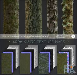 PBR texture Gumroad – Photogrammetry Tile Textures – Bark Pack 02