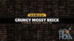 PBR texture CGTrader – Texture Pack Seamless Grungy Mossy Brick Vol 01 Texture