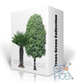 PBR texture Trees Green Collection (PSD, JPG)