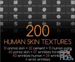 PBR texture Gumroad – 200 Human Skin Textures
