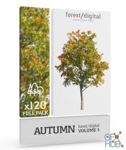 PBR texture Forest/Digital Vol. 5 – Autumn trees