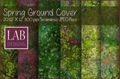 PBR texture Creativemarket – Seamless Spring Ground Cover