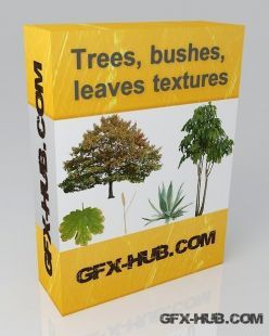 PBR texture Trees, Shrubs and Leaves Textures Bundle