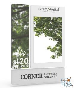 PBR texture Forest/Digital Vol. 3 – Corner trees