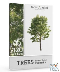 PBR texture Forest Digital – Trees Vol. 1