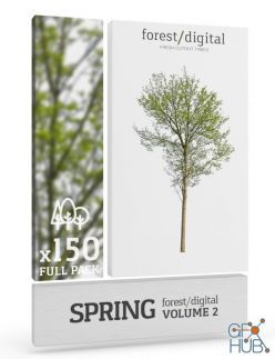 PBR texture Forest/Digital Vol. 2 – Spring