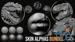 PBR texture ArtStation – CGSphere Skin Alphas Bundle