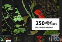 PBR texture ArtStation Marketplace – Huge atlas pack (250) / Foliage / Spice / Decals