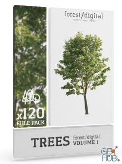 PBR texture Forest/Digital Vol. 1 – Trees