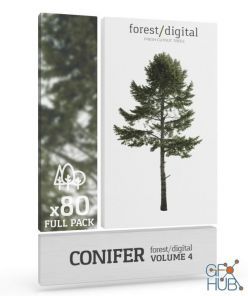PBR texture Forest/Digital Vol. 4 – Conifer Trees