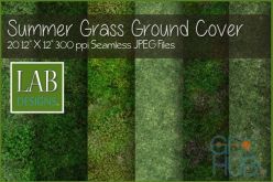 PBR texture Creativemarket – Seamless Summer Grass Ground Cover