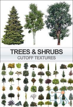 PBR texture Imagecels – Trees & Shrubs on Transparent Background