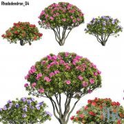 Rhododendron 04 (max, fbx)