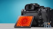 KelbyOne – Hands On with the Sony A7R4/A92 : Everything you Need to Know to Get Great Shots