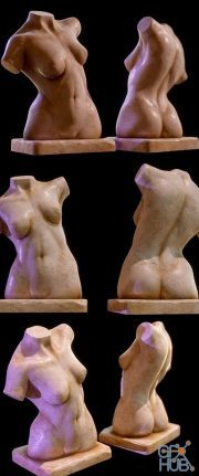 Female Anatomy Sculpture PBR