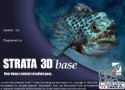 Strata 3Dbase v3.5 Win