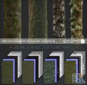 Gumroad – Photogrammetry Tile Textures – Bark Pack 02