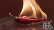MotionArray – Red Hot Chili Pepper In Fire Flame 1011950