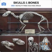 PHOTOBASH – Skull & Bones