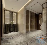 Modern Bathroom Interior Scene 03