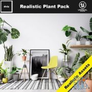 CGTrader – Realistic Plants Pack – Unreal Engine 4 Low-poly 3D model