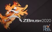 Pixologic ZBrush 2020.1.3 Win x64