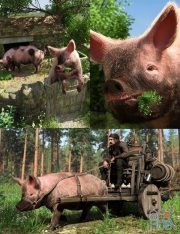 Daz3D, Poser: LoREZ Pig 2 Bundle