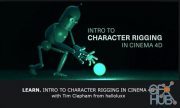 Helloluxx – Learn. Intro to Character Rigging in C4D