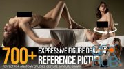 700+ Turnaround Expressive Figure Drawing Reference Pictures