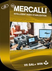 proDAD Mercalli V6 SAL 6.0.617.2 Win x64