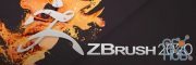 Pixologic Zbrush 2020 Repack Win x64