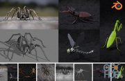Blender Market – Insect And Spiders Creation Full Course