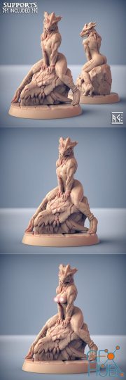 The Lusty Draconian Maid – 3D Print