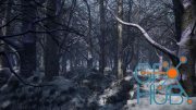 Unreal Engine – Cold Forest