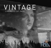 NoamKroll – Cinematic LUT's: Vintage (Win/Mac)