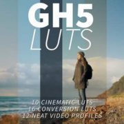 Neumann Films GH5 LUTs