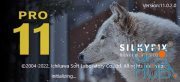 SILKYPIX Developer Studio 11.1.2.0 / Pro 11.0.2.0 (Win/Mac)