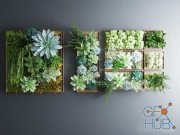 Wall Plant Decoration