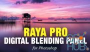 Raya Pro 6.0 Suite – Luminosity Masking Panel