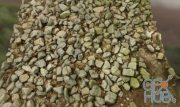 Rocks on the Ground PBR