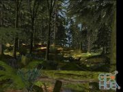 Unity Asset – Forest Pack