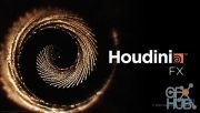 SideFX Houdini FX 18.0.566 Win x64