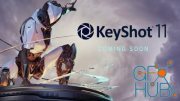 Luxion KeyShot Pro v11.0.0.215 Win x64